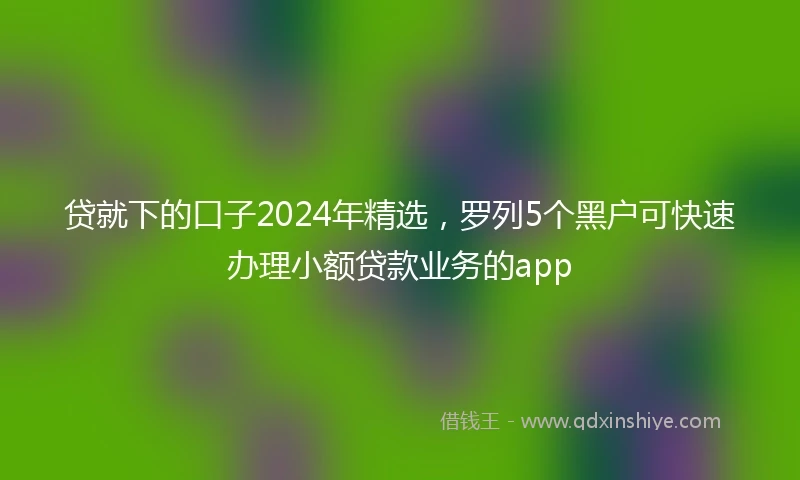 贷就下的口子2024年精选，罗列5个黑户可快速办理小额贷款业务的app