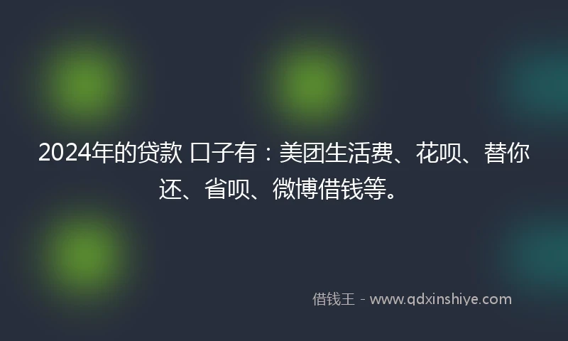 2024年的贷款 口子有：美团生活费、花呗、替你还、省呗、微博借钱等。