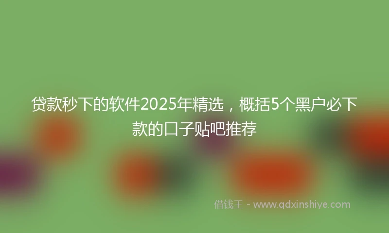贷款秒下的软件2025年精选，概括5个黑户必下款的口子贴吧推荐