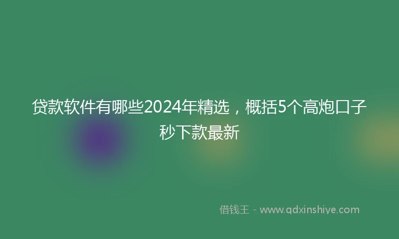 贷款软件有哪些2024年精选，概括5个高炮口子秒下款最新