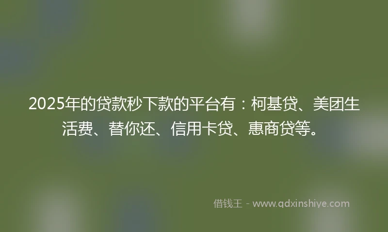2025年的贷款秒下款的平台有：柯基贷、美团生活费、替你还、信用卡贷、惠商贷等。