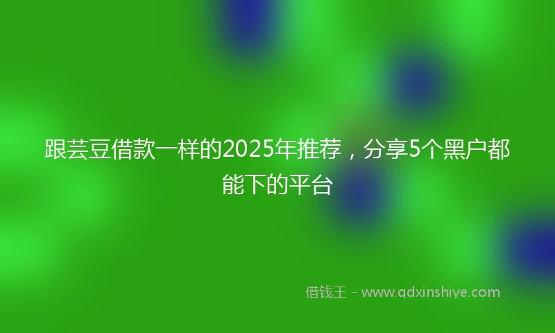 跟芸豆借款一样的2025年推荐，分享5个黑户都能下的平台