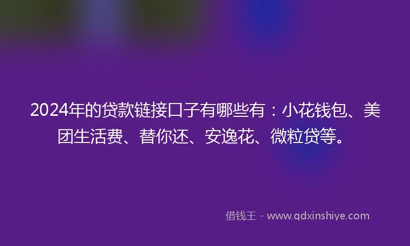 2024年的贷款链接口子有哪些有：小花钱包、美团生活费、替你还、安逸花、微粒贷等。