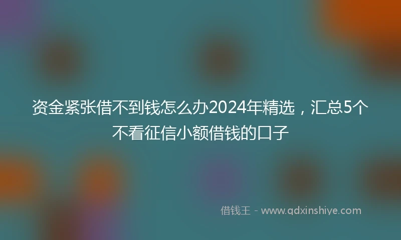 资金紧张借不到钱怎么办2024年精选，汇总5个不看征信小额借钱的口子