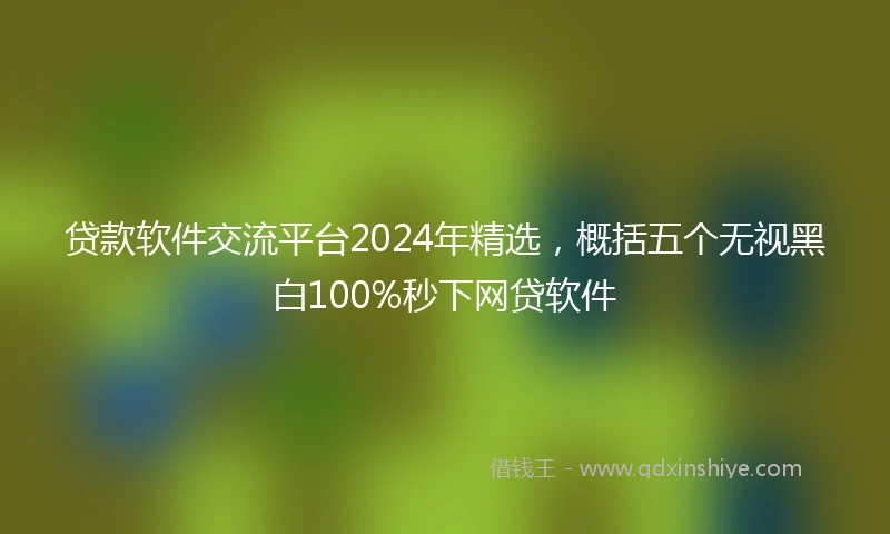 贷款软件交流平台2024年精选，概括五个无视黑白100%秒下网贷软件