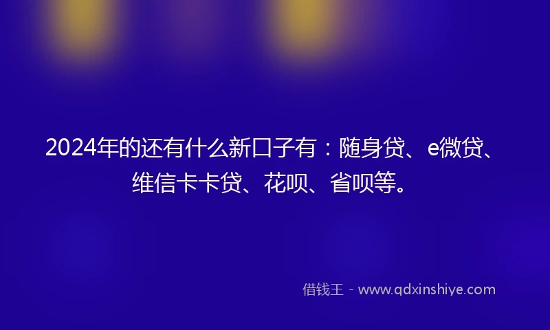 2024年的还有什么新口子有：随身贷、e微贷、维信卡卡贷、花呗、省呗等。