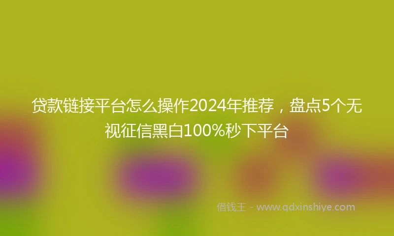 贷款链接平台怎么操作2024年推荐，盘点5个无视征信黑白100%秒下平台