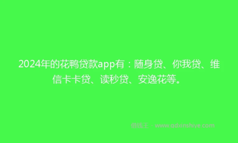 2024年的花鸭贷款app有：随身贷、你我贷、维信卡卡贷、读秒贷、安逸花等。