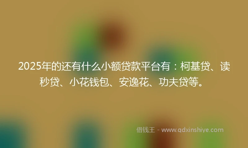 2025年的还有什么小额贷款平台有：柯基贷、读秒贷、小花钱包、安逸花、功夫贷等。
