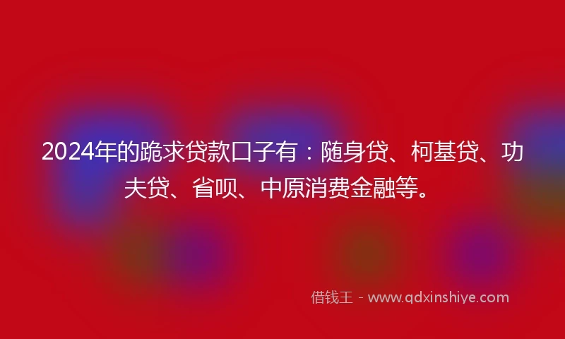 2024年的跪求贷款口子有：随身贷、柯基贷、功夫贷、省呗、中原消费金融等。