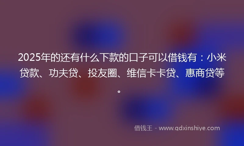 2025年的还有什么下款的口子可以借钱有：小米贷款、功夫贷、投友圈、维信卡卡贷、惠商贷等。