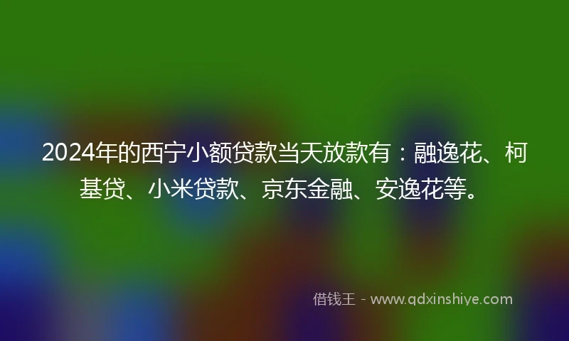 2024年的西宁小额贷款当天放款有：融逸花、柯基贷、小米贷款、京东金融、安逸花等。