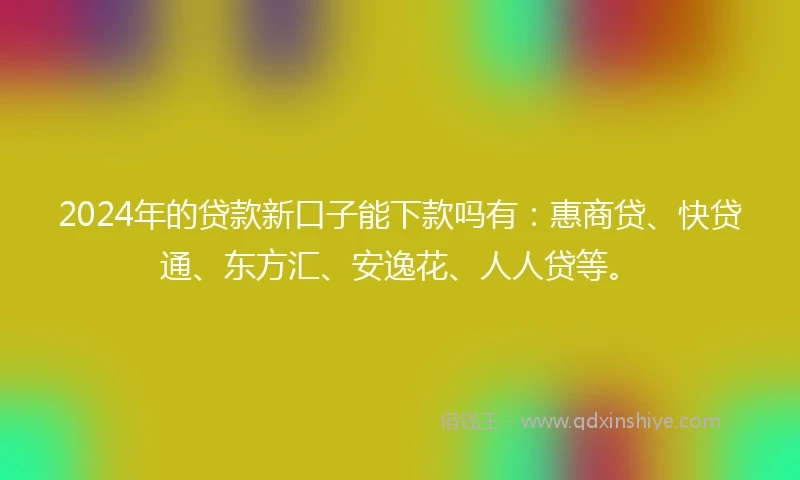 2024年的贷款新口子能下款吗有：惠商贷、快贷通、东方汇、安逸花、人人贷等。
