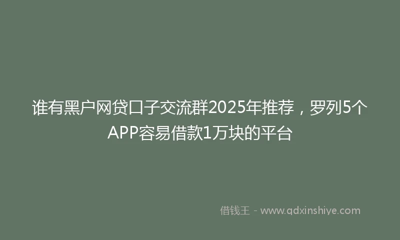 谁有黑户网贷口子交流群2025年推荐，罗列5个APP容易借款1万块的平台
