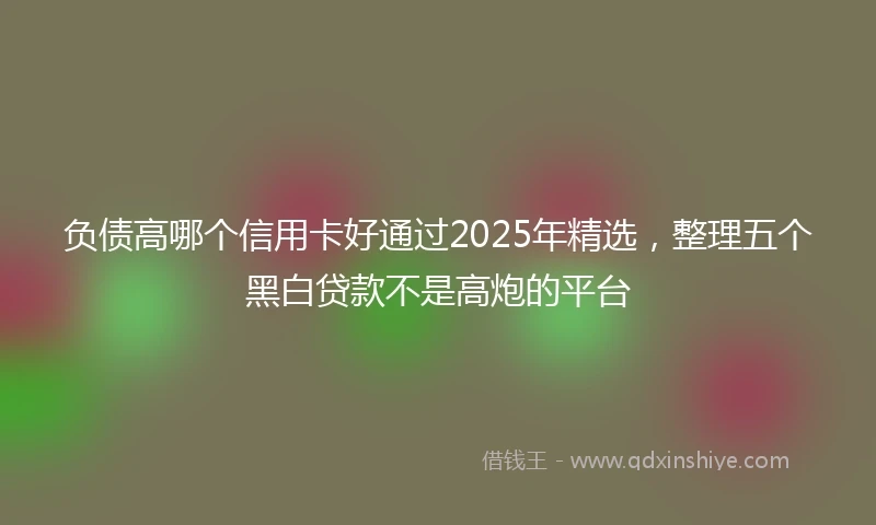 负债高哪个信用卡好通过2025年精选，整理五个黑白贷款不是高炮的平台