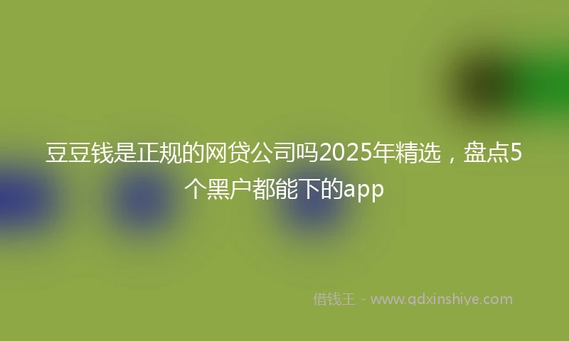 豆豆钱是正规的网贷公司吗2025年精选，盘点5个黑户都能下的app