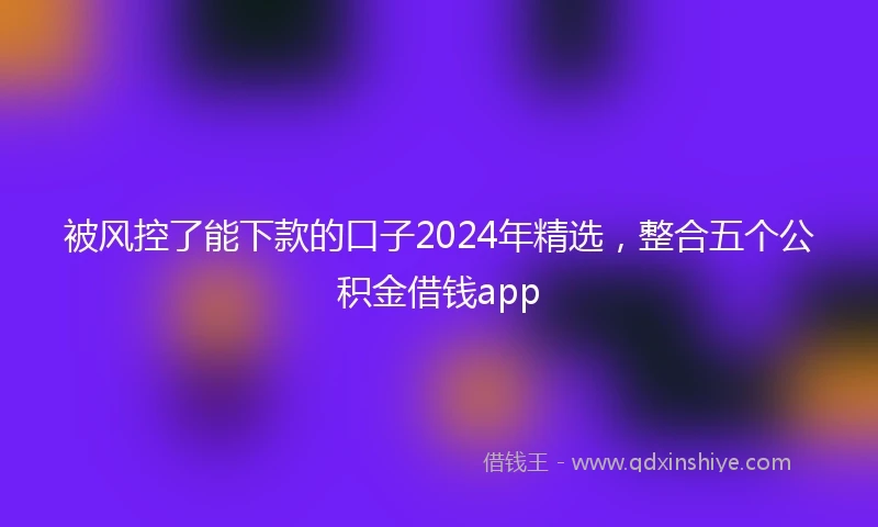 被风控了能下款的口子2024年精选，整合五个公积金借钱app