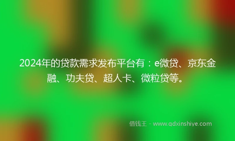 2024年的贷款需求发布平台有：e微贷、京东金融、功夫贷、超人卡、微粒贷等。