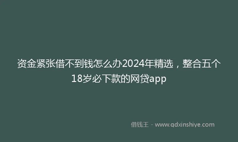 资金紧张借不到钱怎么办2024年精选，整合五个18岁必下款的网贷app