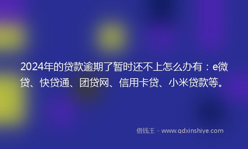 2024年的贷款逾期了暂时还不上怎么办有：e微贷、快贷通、团贷网、信用卡贷、小米贷款等。