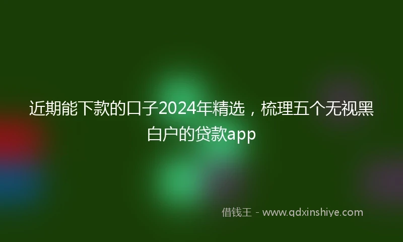 近期能下款的口子2024年精选，梳理五个无视黑白户的贷款app
