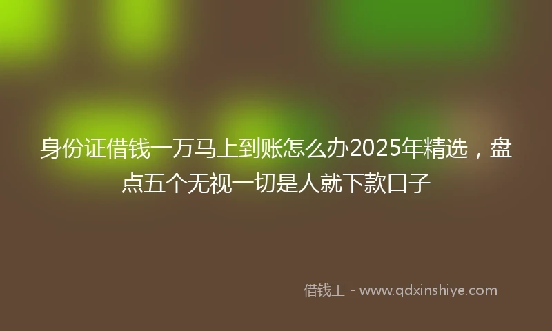 身份证借钱一万马上到账怎么办2025年精选，盘点五个无视一切是人就下款口子