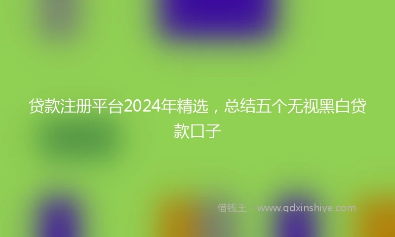 贷款注册平台2024年精选，总结五个无视黑白贷款口子