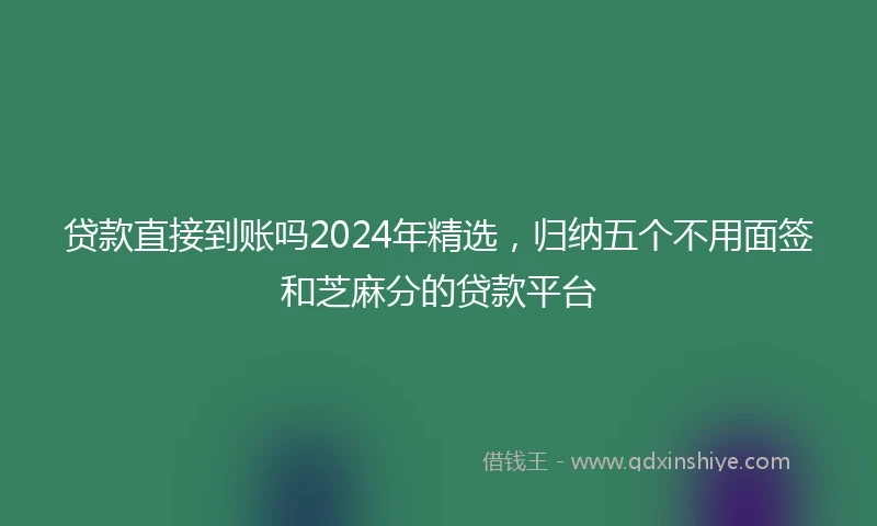 贷款直接到账吗2024年精选，归纳五个不用面签和芝麻分的贷款平台