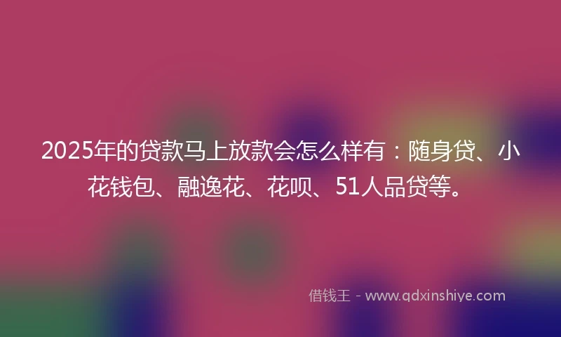 2025年的贷款马上放款会怎么样有：随身贷、小花钱包、融逸花、花呗、51人品贷等。