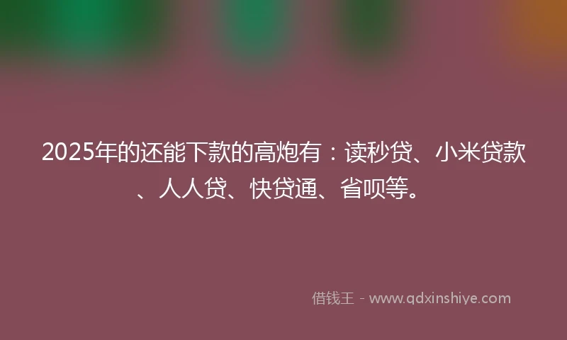 2025年的还能下款的高炮有：读秒贷、小米贷款、人人贷、快贷通、省呗等。
