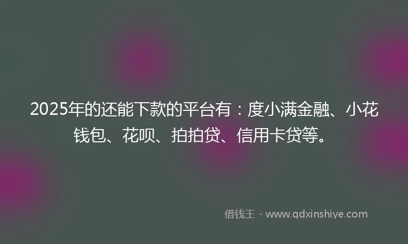 2025年的还能下款的平台有：度小满金融、小花钱包、花呗、拍拍贷、信用卡贷等。