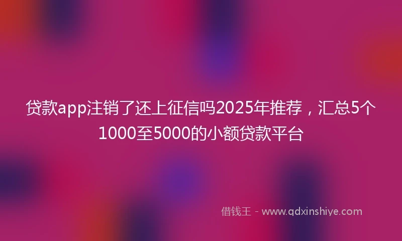 贷款app注销了还上征信吗2025年推荐，汇总5个1000至5000的小额贷款平台
