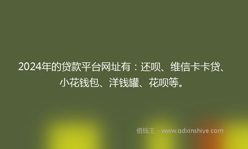 2024年的贷款平台网址有：还呗、维信卡卡贷、小花钱包、洋钱罐、花呗等。