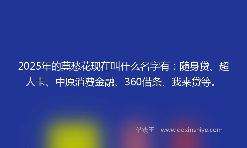 2025年的莫愁花现在叫什么名字有：随身贷、超人卡、中原消费金融、360借条、我来贷等。