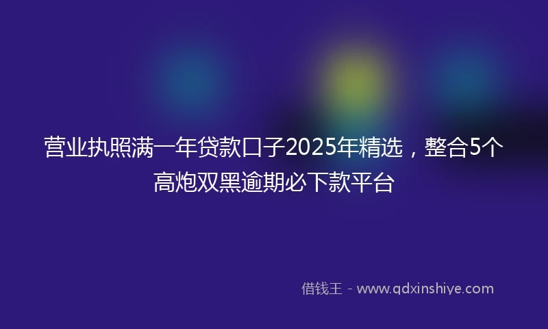 营业执照满一年贷款口子2025年精选，整合5个高炮双黑逾期必下款平台
