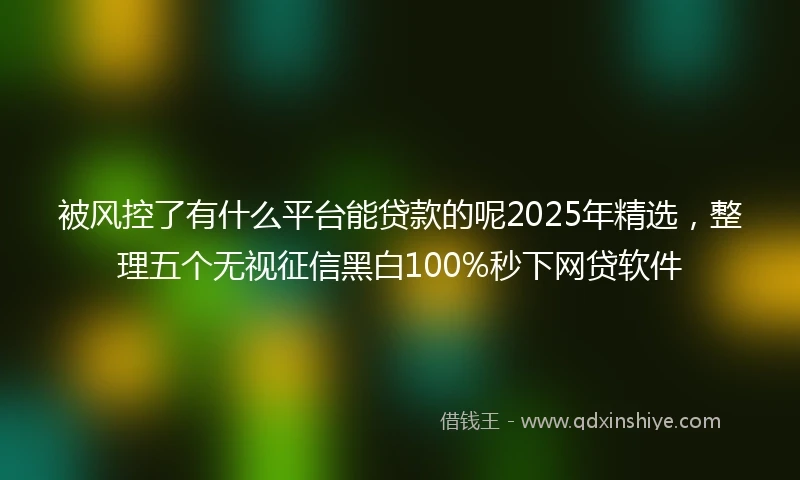 被风控了有什么平台能贷款的呢2025年精选，整理五个无视征信黑白100%秒下网贷软件