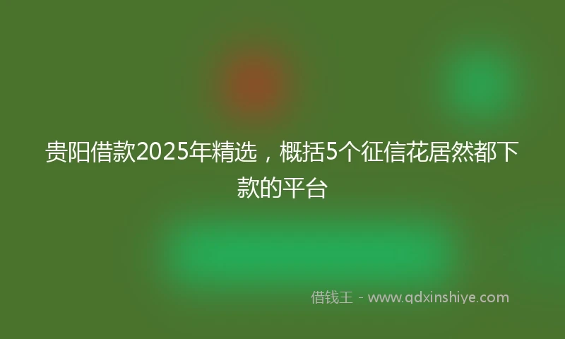 贵阳借款2025年精选，概括5个征信花居然都下款的平台