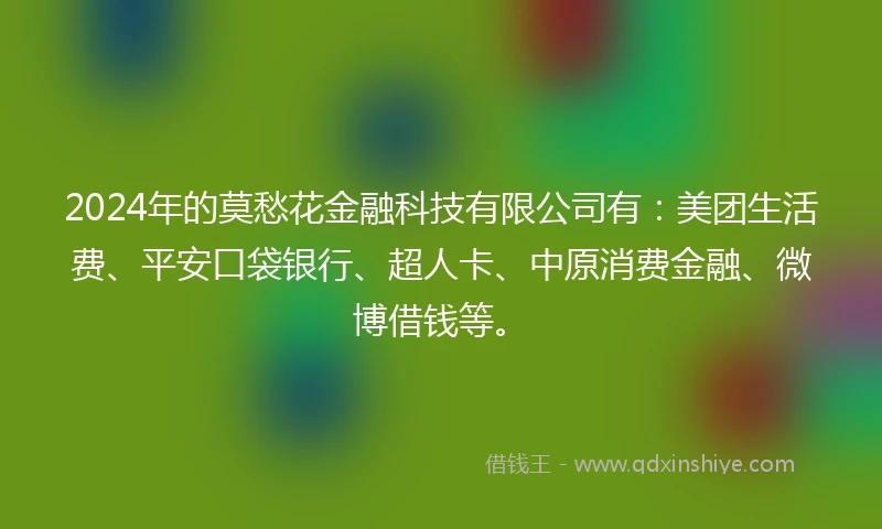 2024年的莫愁花金融科技有限公司有：美团生活费、平安口袋银行、超人卡、中原消费金融、微博借钱等。