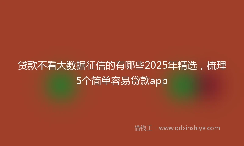 贷款不看大数据征信的有哪些2025年精选，梳理5个简单容易贷款app