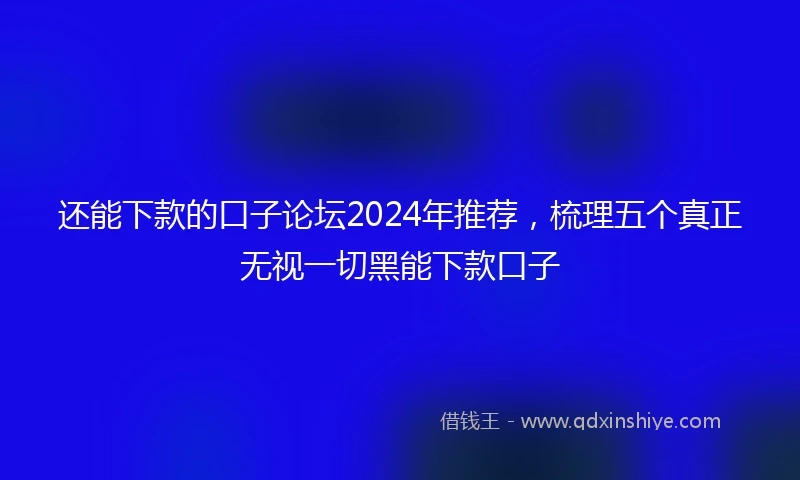 还能下款的口子论坛2024年推荐，梳理五个真正无视一切黑能下款口子