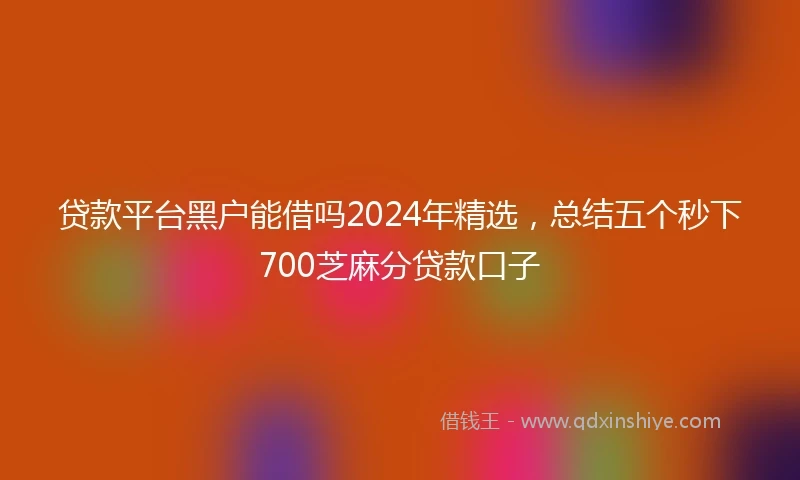 贷款平台黑户能借吗2024年精选，总结五个秒下700芝麻分贷款口子
