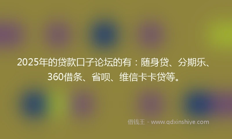 2025年的贷款口子论坛的有：随身贷、分期乐、360借条、省呗、维信卡卡贷等。