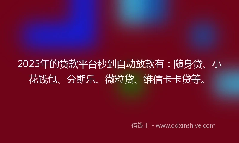 2025年的贷款平台秒到自动放款有：随身贷、小花钱包、分期乐、微粒贷、维信卡卡贷等。