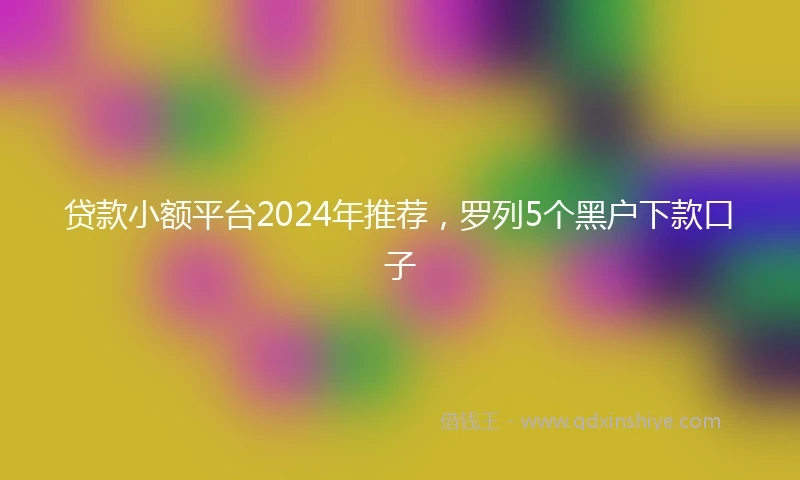 贷款小额平台2024年推荐，罗列5个黑户下款口子