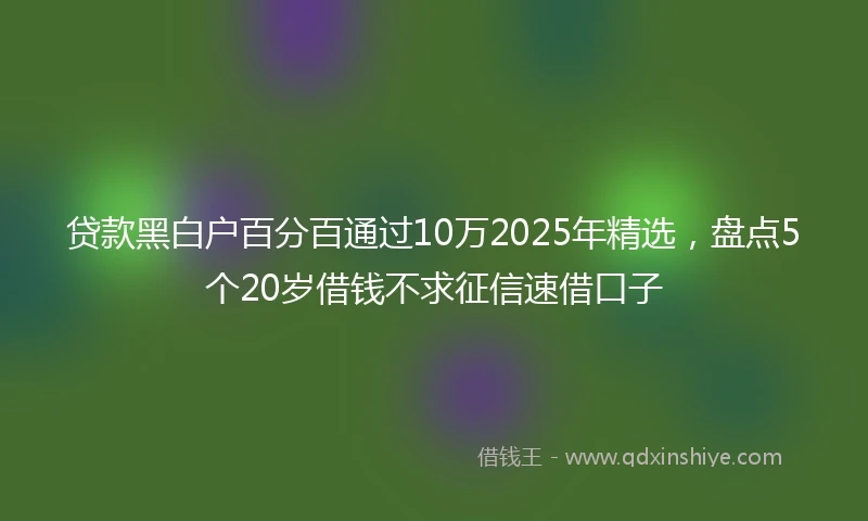 贷款黑白户百分百通过10万2025年精选，盘点5个20岁借钱不求征信速借口子