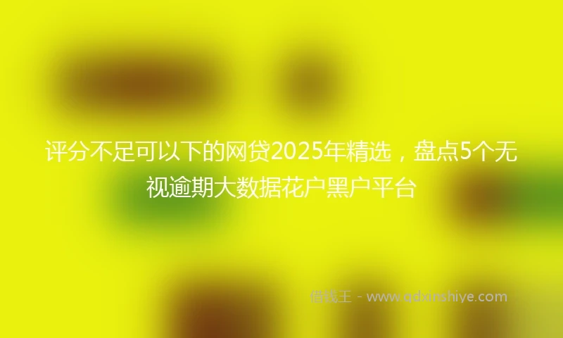 评分不足可以下的网贷2025年精选，盘点5个无视逾期大数据花户黑户平台