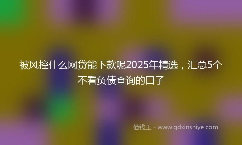 被风控什么网贷能下款呢2025年精选，汇总5个不看负债查询的口子