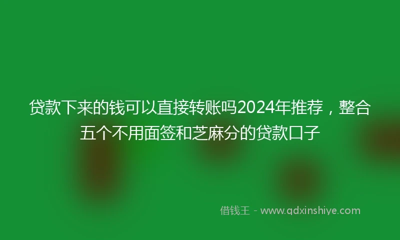 贷款下来的钱可以直接转账吗2024年推荐，整合五个不用面签和芝麻分的贷款口子