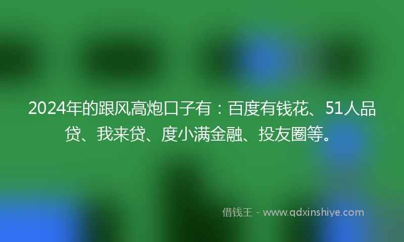 2024年的跟风高炮口子有：百度有钱花、51人品贷、我来贷、度小满金融、投友圈等。