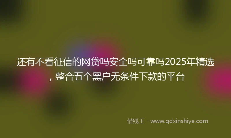 还有不看征信的网贷吗安全吗可靠吗2025年精选，整合五个黑户无条件下款的平台